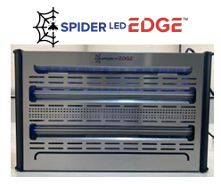 spider led edge