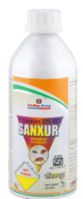 sanxur