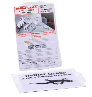 hi snap lizard trap