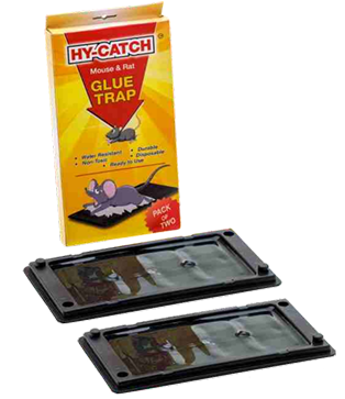 hy catch plastic glue trap (regular)